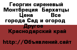 Георгин сиреневый. Монтбреция. Бархатцы.  › Цена ­ 100 - Все города Сад и огород » Другое   . Краснодарский край